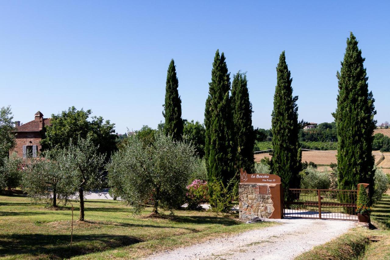 La Bacaia Villa Marciano della Chiana Ngoại thất bức ảnh